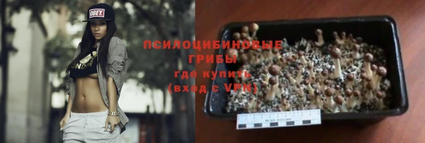 PSILOCYBIN Алексин