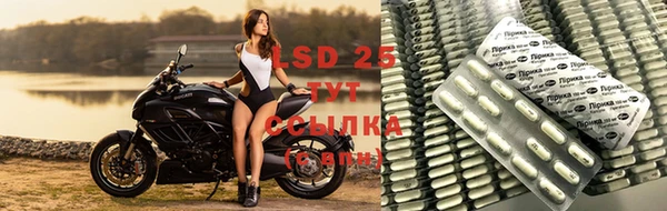 PSILOCYBIN Алексин