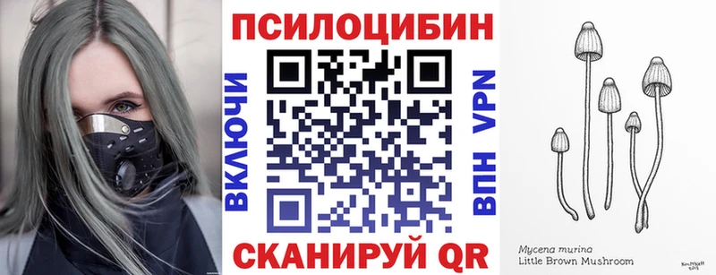где найти   KRAKEN tor  Псилоцибиновые грибы Psilocybe  Михайловск 